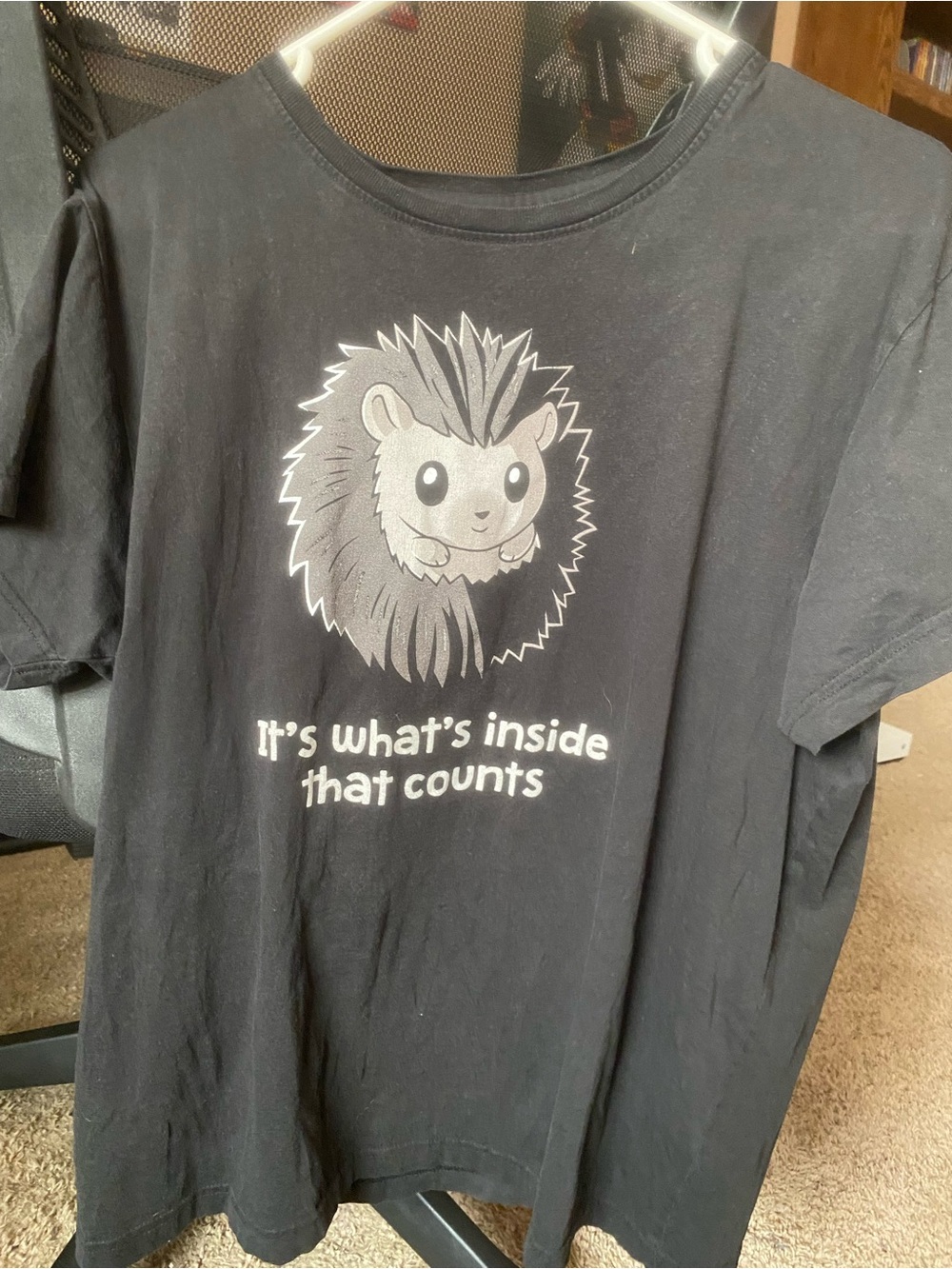Tee Turtle Hedgehog Its What’s Inside That Counts Shirt Womens XL
